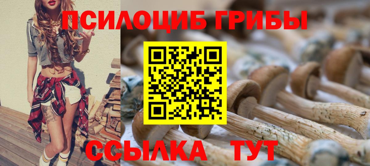 Псилоцибиновые грибы мицелий Канаш