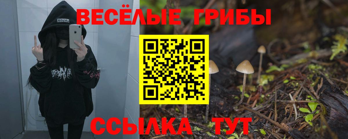 Псилоцибиновые грибы мицелий  продажа наркотиков  Канаш  Вход с VPN 